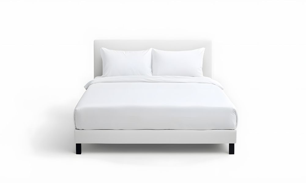 Best Price 14-Inch Queen Mattress